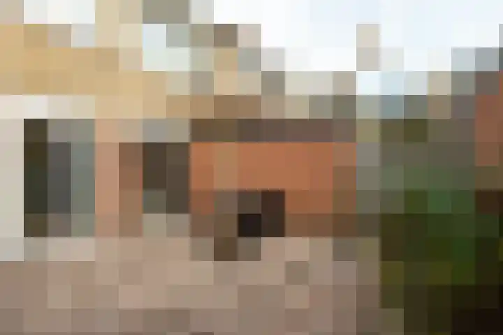 Krokusstraat 2 Putte thumbnail 32