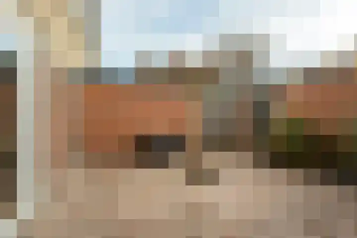 Krokusstraat 2 Putte thumbnail 33