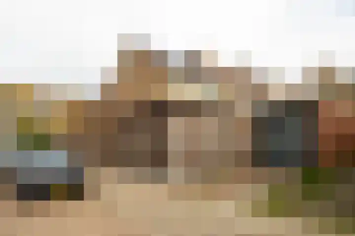Krokusstraat 2 Putte thumbnail 4