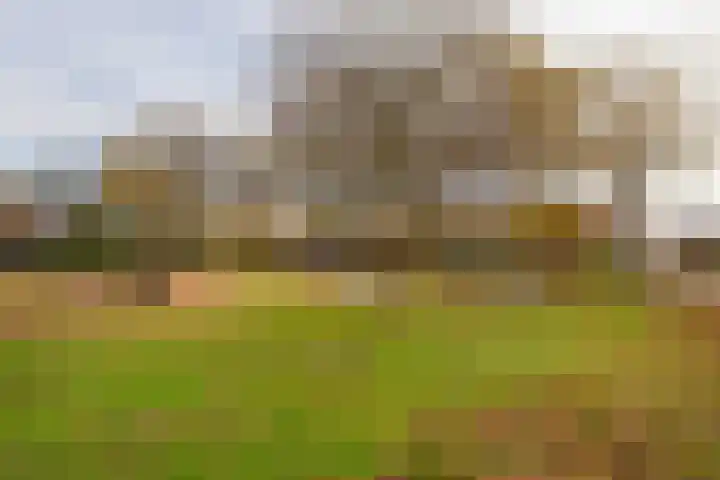 Krokusstraat 2 Putte thumbnail 42