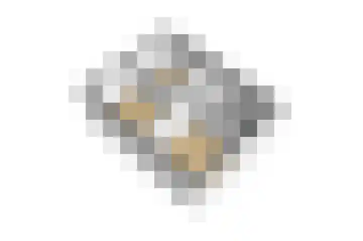 Krokusstraat 2 Putte thumbnail 48