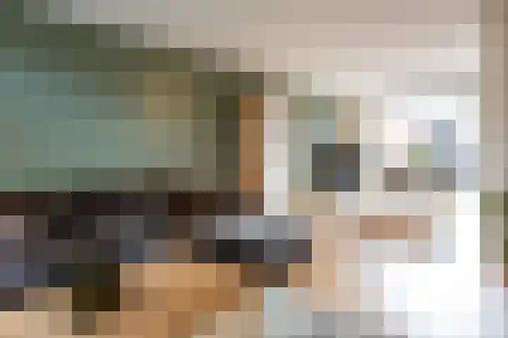 Krokusstraat 2 Putte thumbnail 7