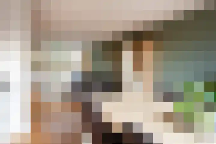 Krokusstraat 2 Putte thumbnail 8