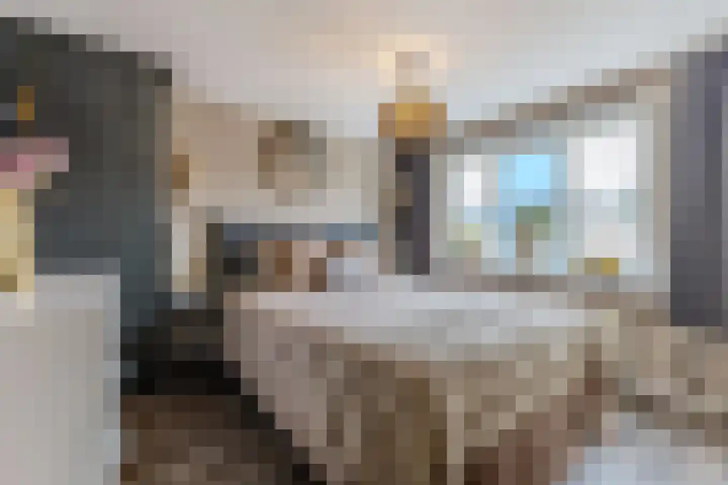 Krokusstraat 20 Wormerveer thumbnail 11