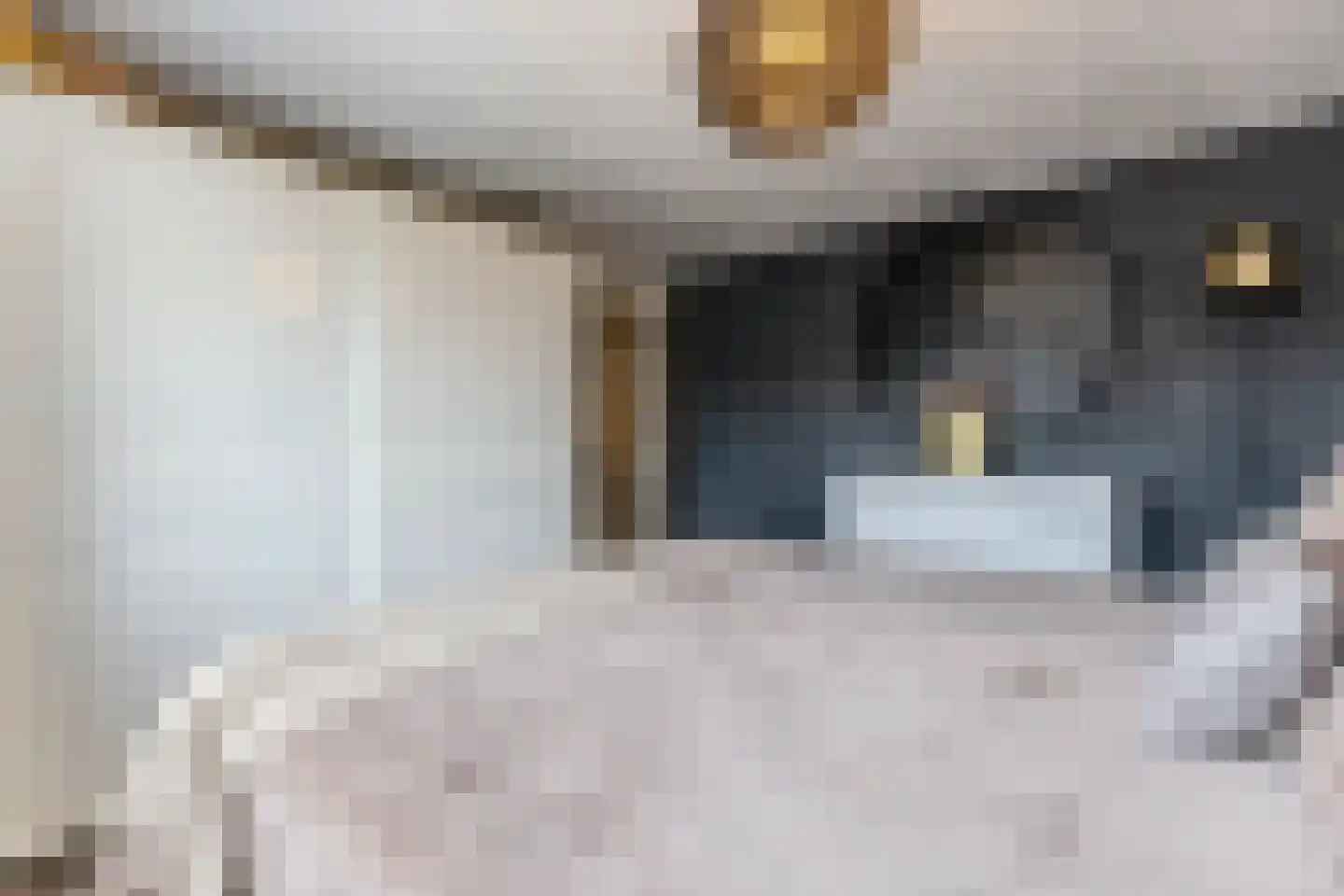 Krokusstraat 20 Wormerveer thumbnail 12