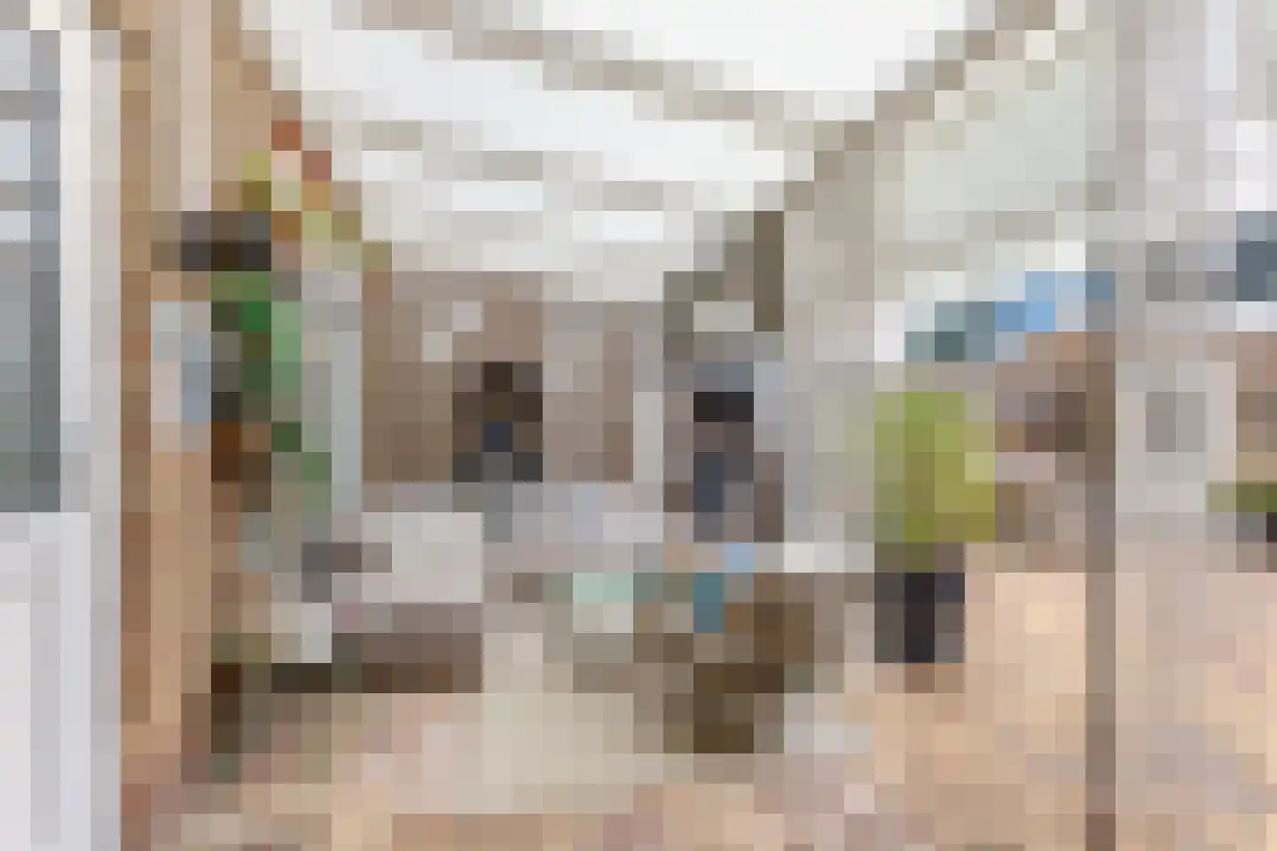 Krokusstraat 20 Wormerveer thumbnail 25