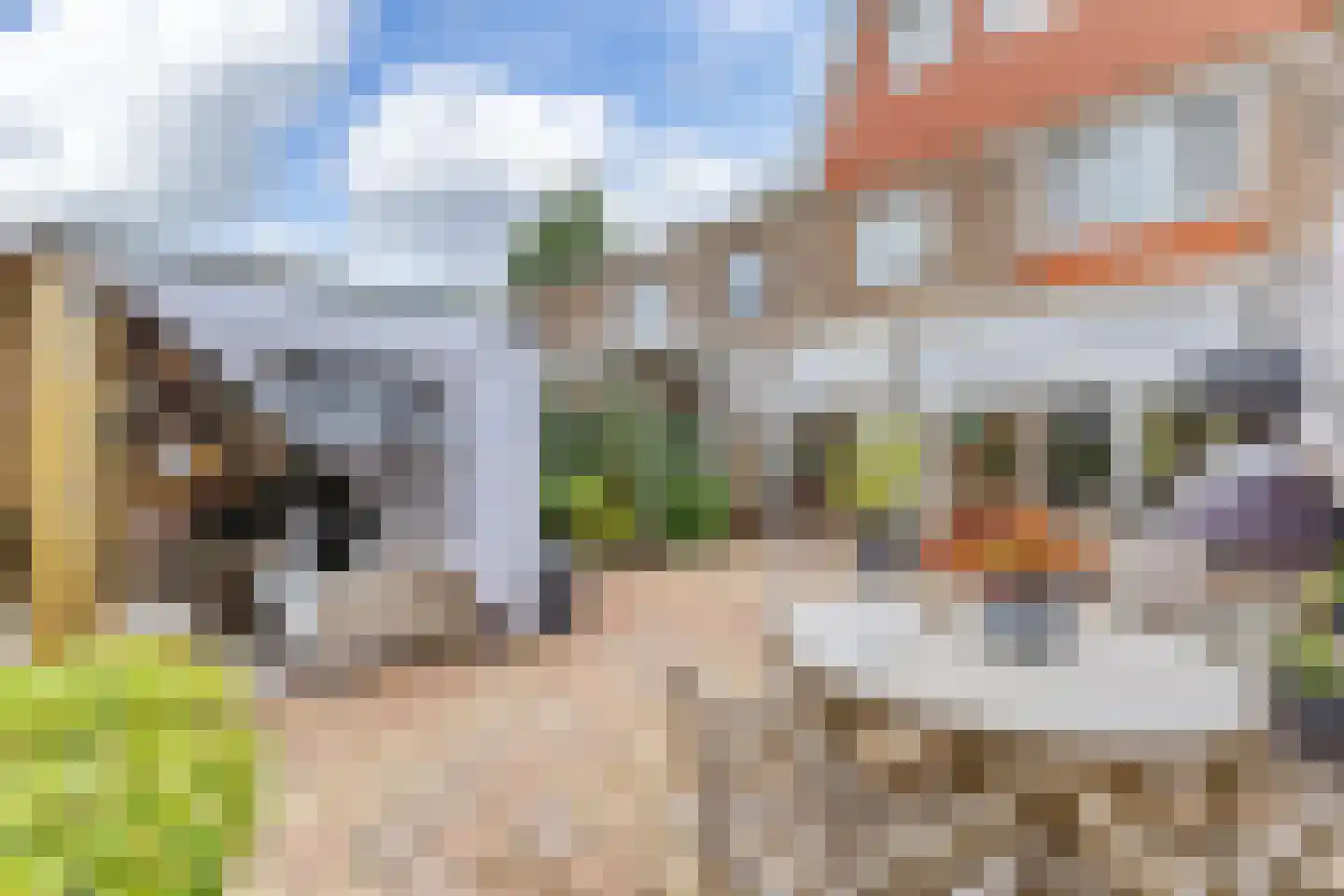 Krokusstraat 20 Wormerveer thumbnail 26