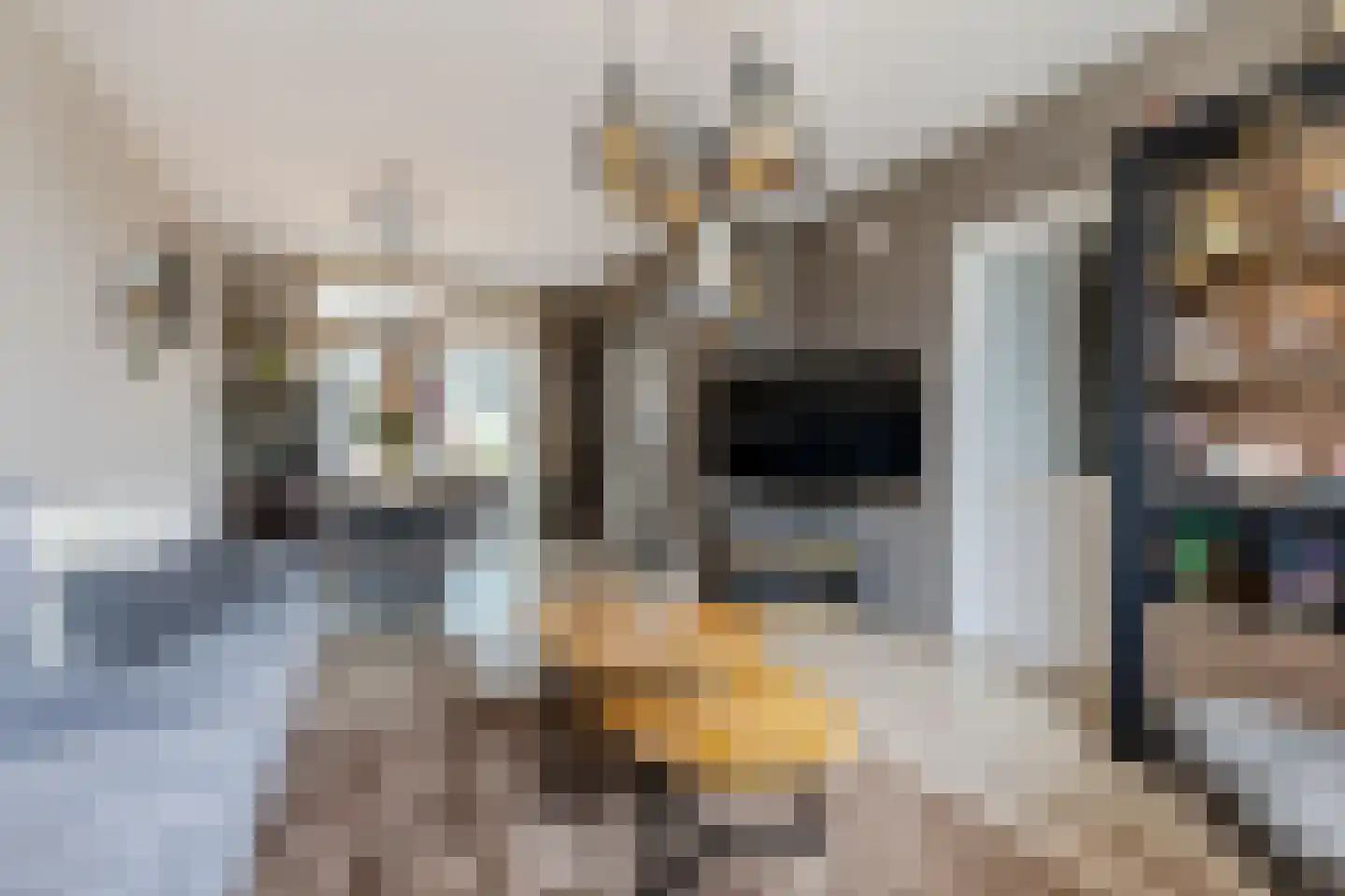 Krokusstraat 20 Wormerveer thumbnail 5