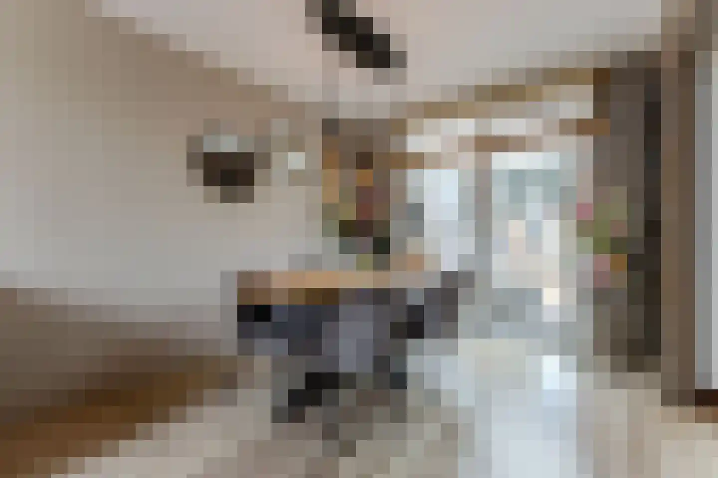 Krokusstraat 20 Wormerveer thumbnail 6