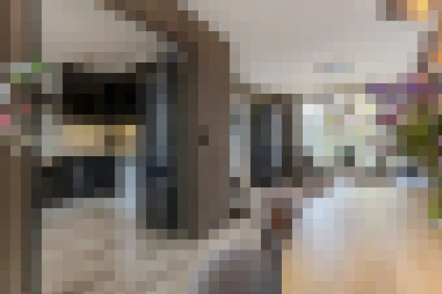 Krokusstraat 20 Wormerveer thumbnail 7