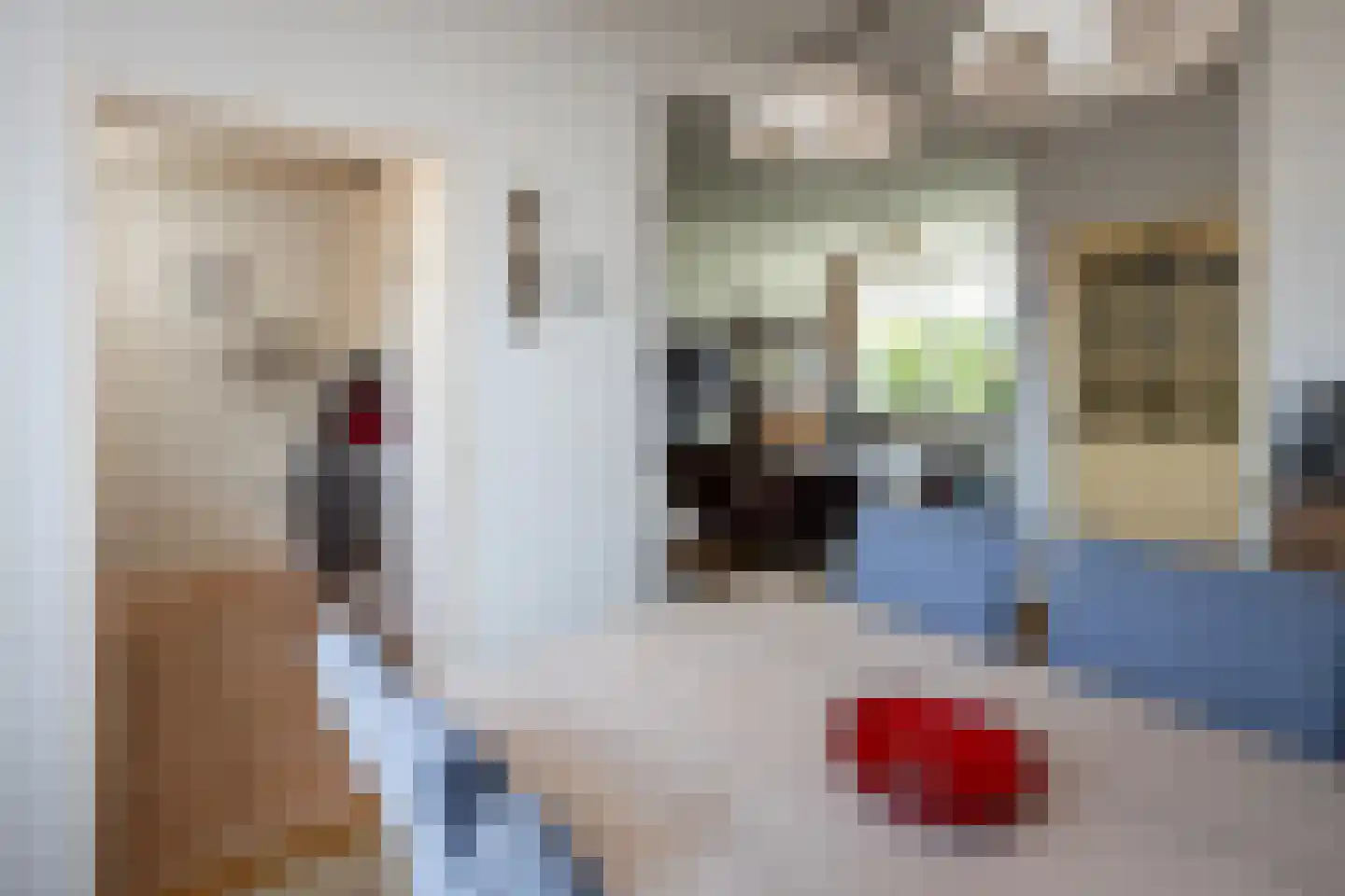 Krokusstraat 22 Hoogkarspel thumbnail 11