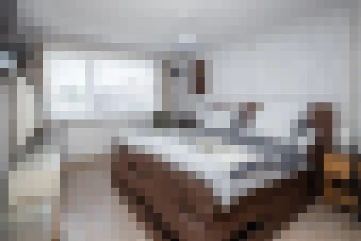 Krokusstraat 22 Hoogkarspel thumbnail 20