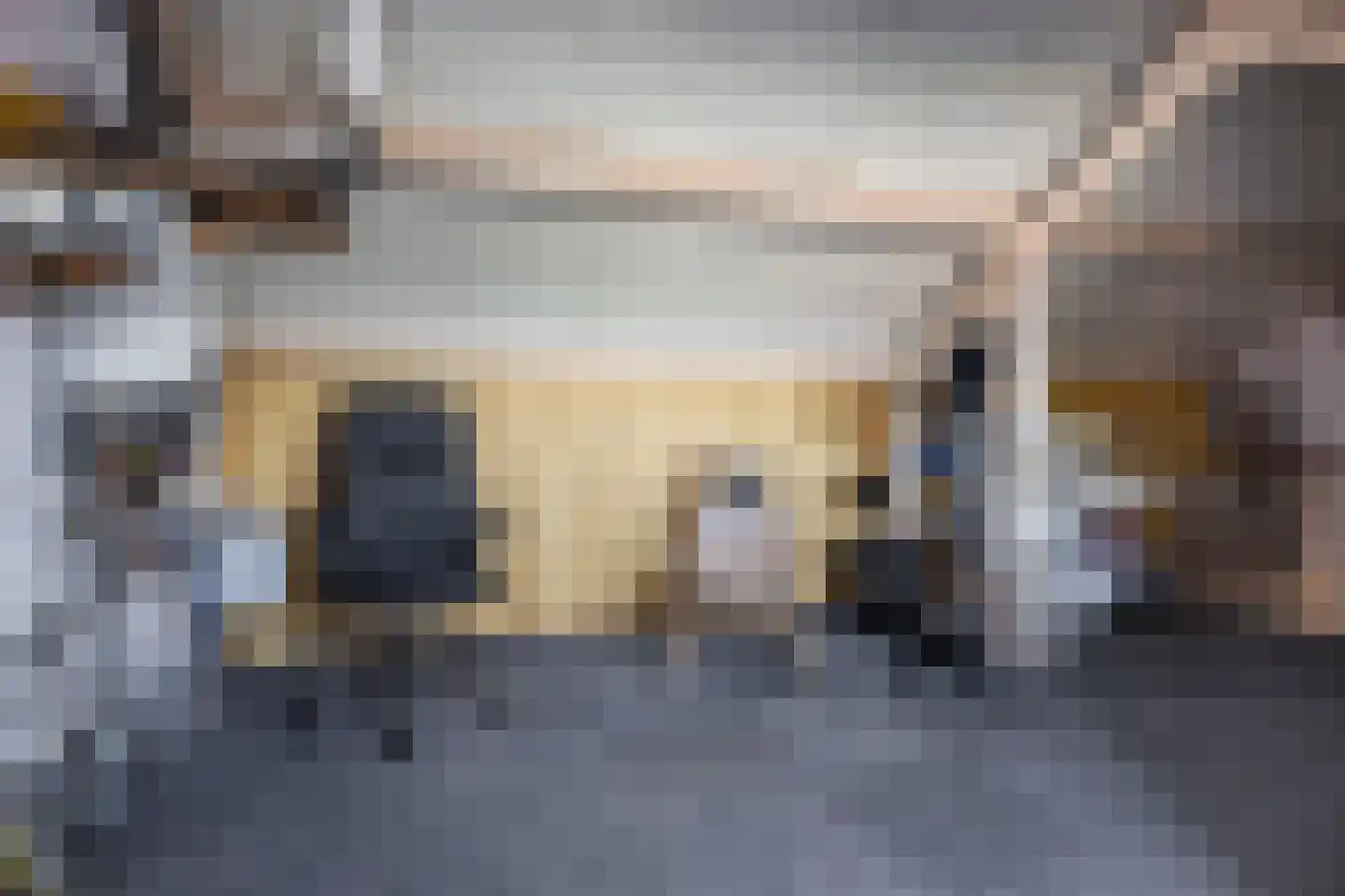 Krokusstraat 22 Hoogkarspel thumbnail 26
