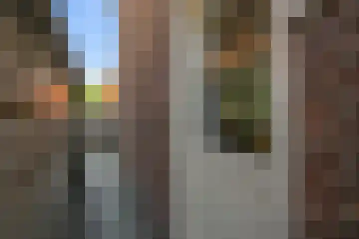 Krokusstraat 26 Koog aan de Zaan thumbnail 35