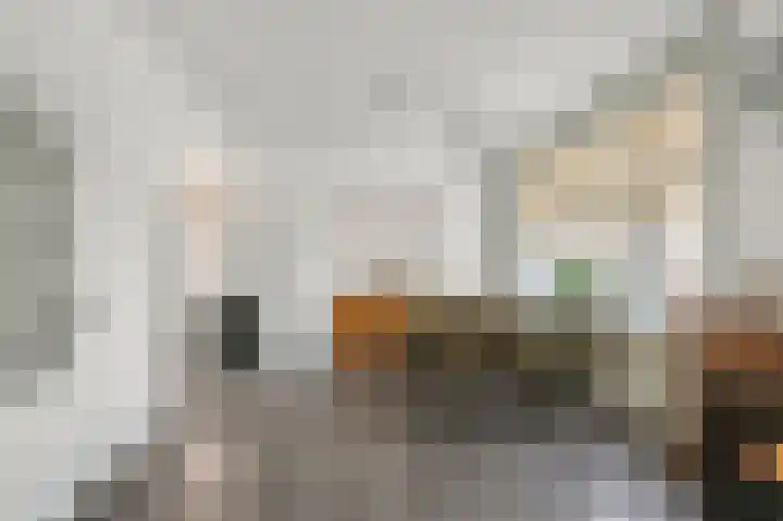 Krokusstraat 26 Koog aan de Zaan thumbnail 4