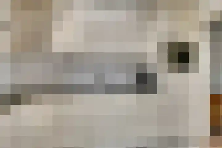 Krokusstraat 8 Hoogkarspel thumbnail 11