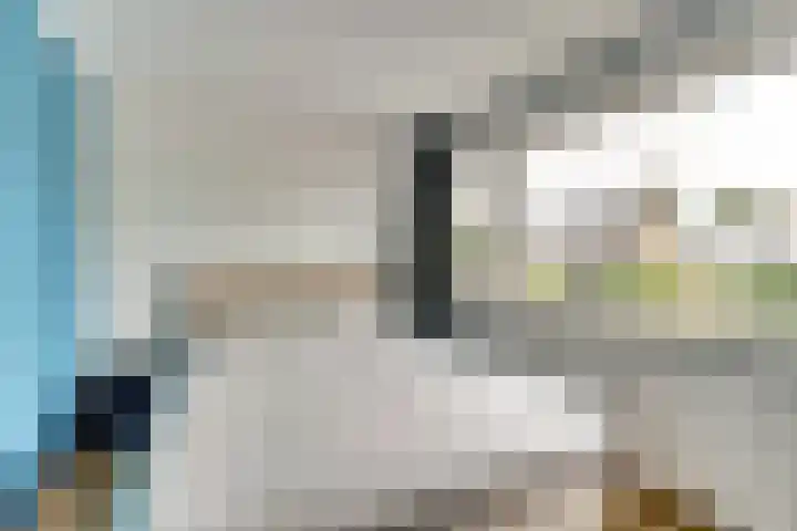 Krokusstraat 8 Hoogkarspel thumbnail 20