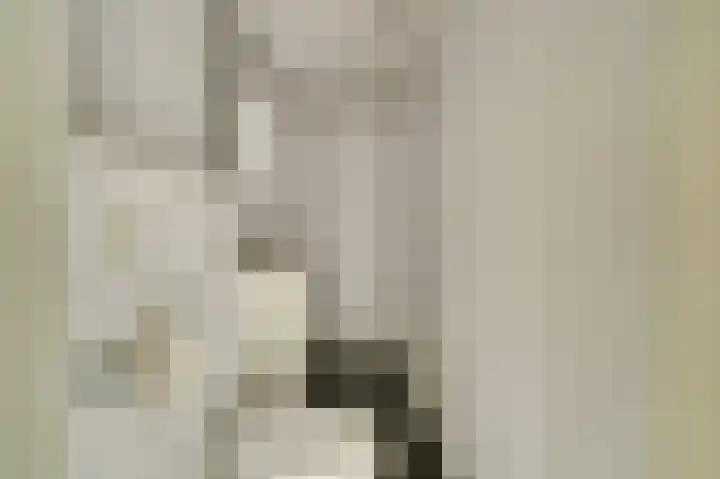 Krokusstraat 8 Hoogkarspel thumbnail 23