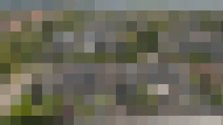 Krokusstraat 8 Hoogkarspel thumbnail 30