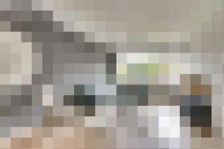 Krokusstraat 8 Hoogkarspel thumbnail 7