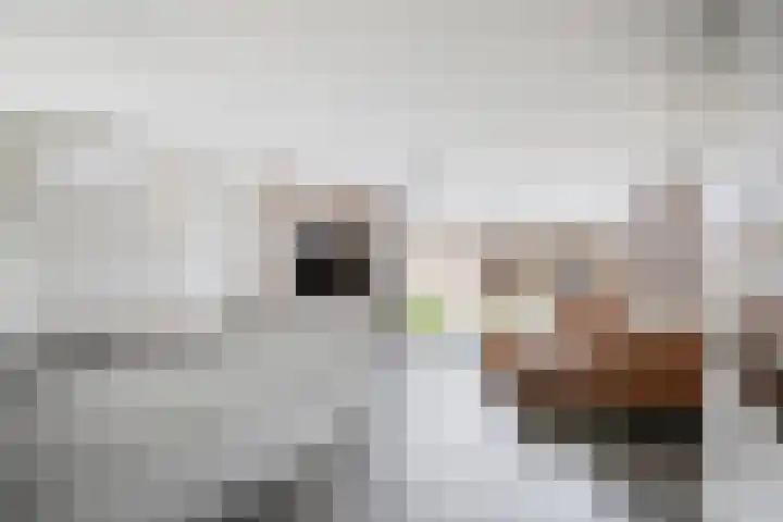 Krollerbocht 14 Liempde thumbnail 12