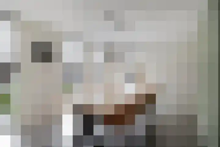 Krollerbocht 14 Liempde thumbnail 4