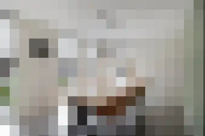 Krollerbocht 14 Liempde thumbnail 8