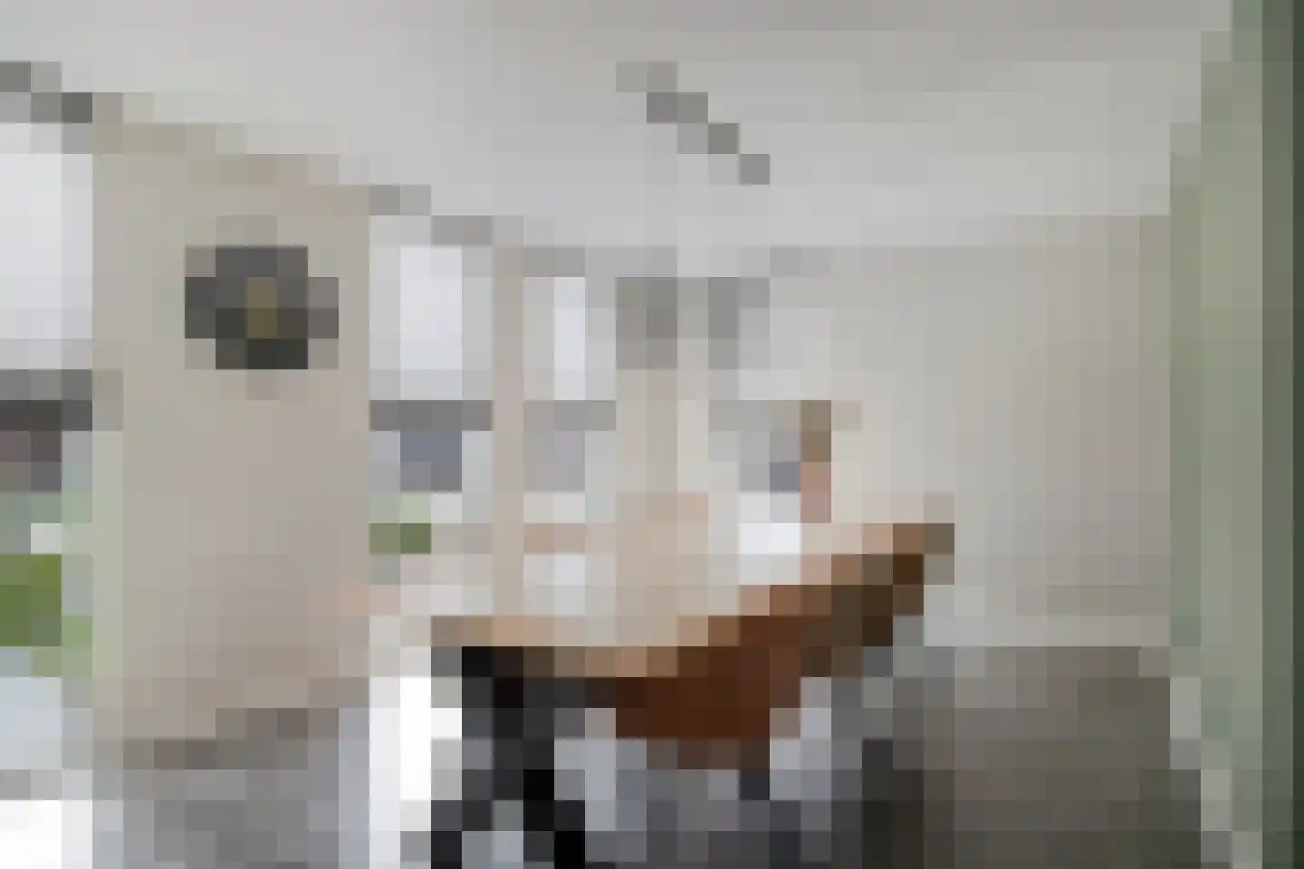Krollerbocht 14 Liempde thumbnail 8