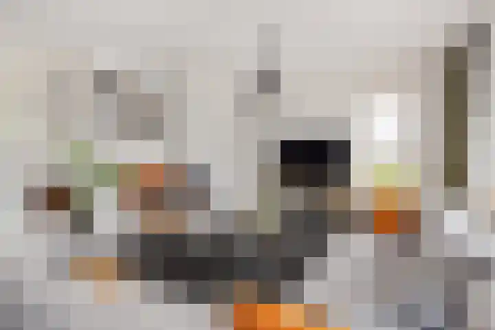 Krollerbocht 27 Liempde thumbnail 19