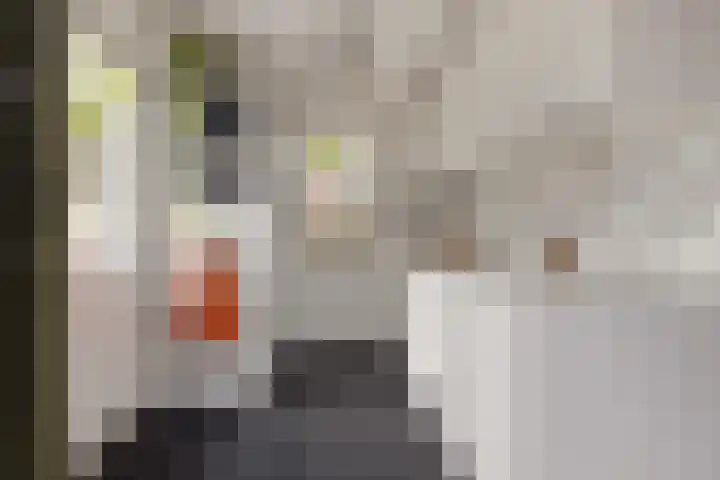 Krollerbocht 27 Liempde thumbnail 25