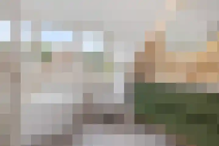Krollerbocht 27 Liempde thumbnail 36