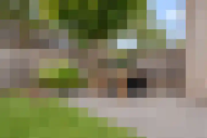 Krollerbocht 27 Liempde thumbnail 47