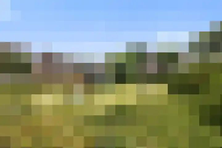 Krollerbocht 27 Liempde thumbnail 53