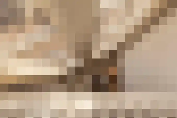 Krom Boomssloot 12 Amsterdam thumbnail 12