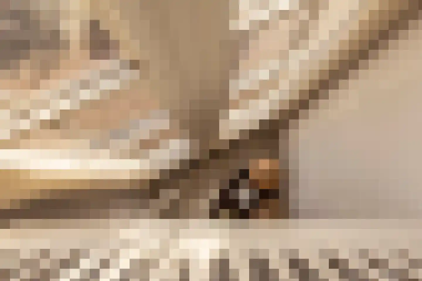 Krom Boomssloot 12 Amsterdam thumbnail 12