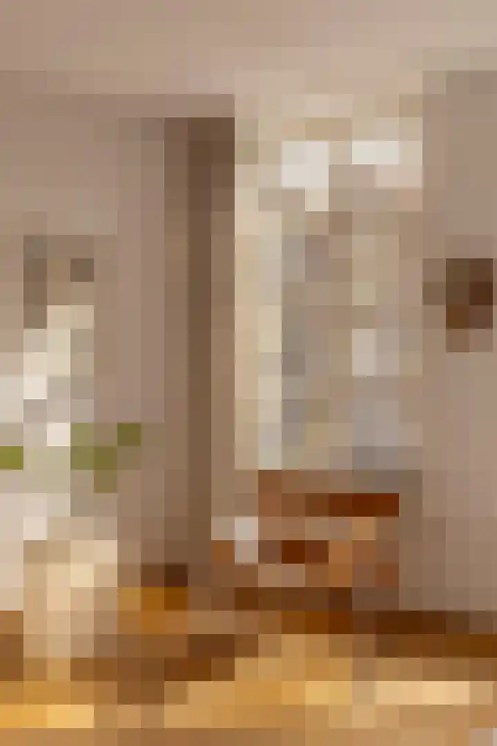 Krom Boomssloot 12 Amsterdam thumbnail 15