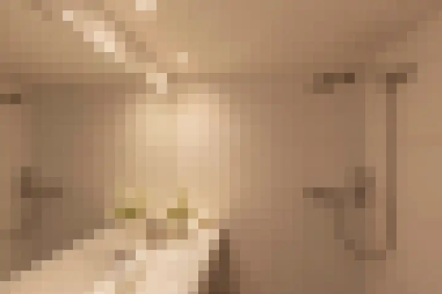 Krom Boomssloot 12 Amsterdam thumbnail 18