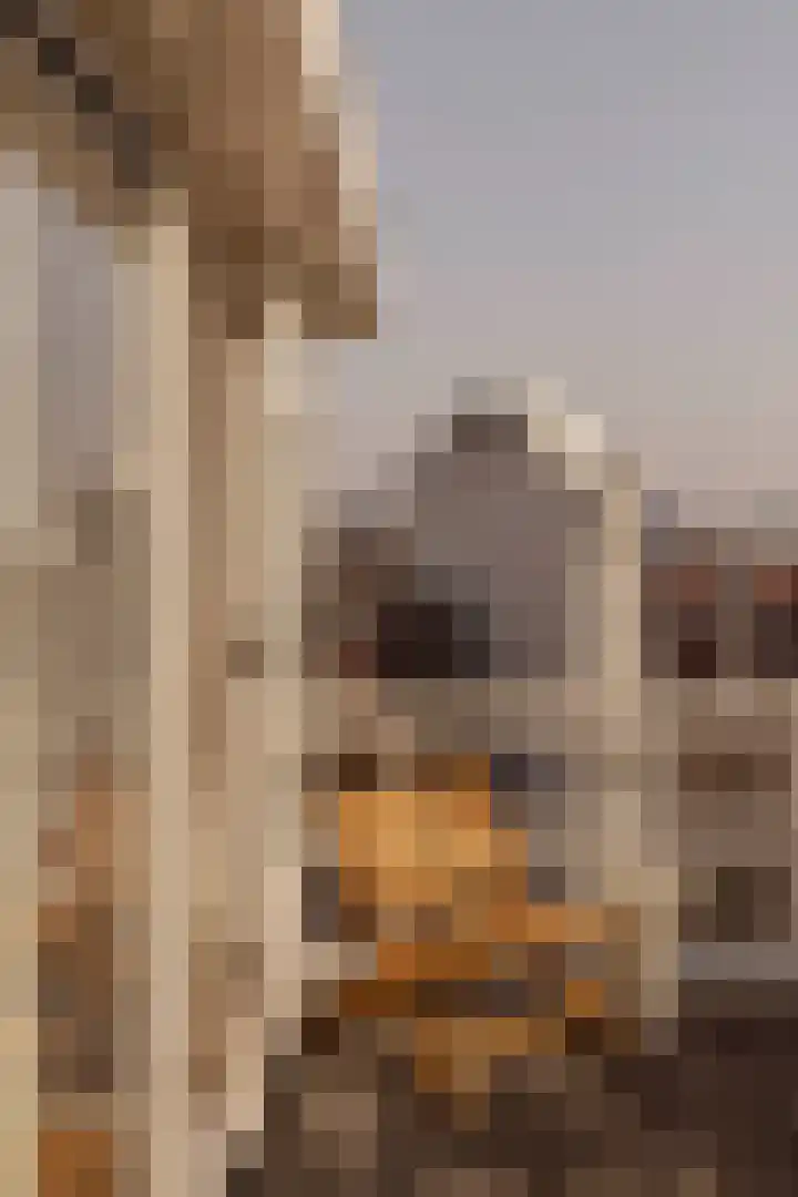 Krom Boomssloot 12 Amsterdam thumbnail 24