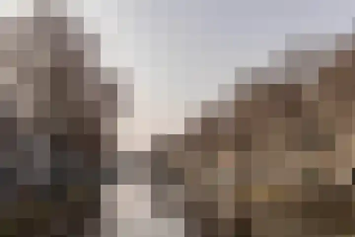 Krom Boomssloot 12 Amsterdam thumbnail 28