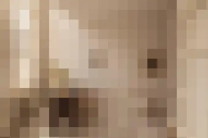 Krom Boomssloot 12 Amsterdam thumbnail 6