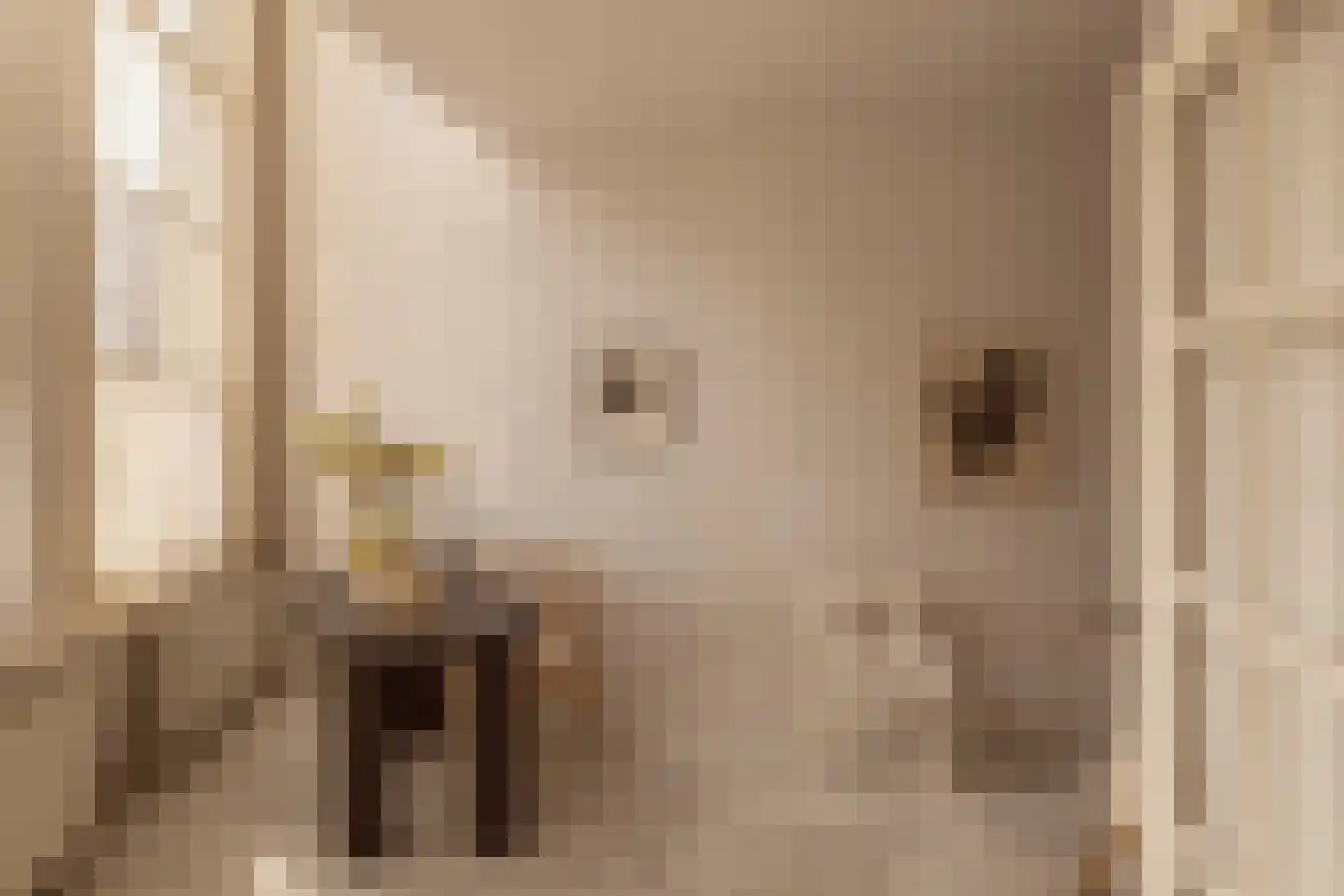 Krom Boomssloot 12 Amsterdam thumbnail 6