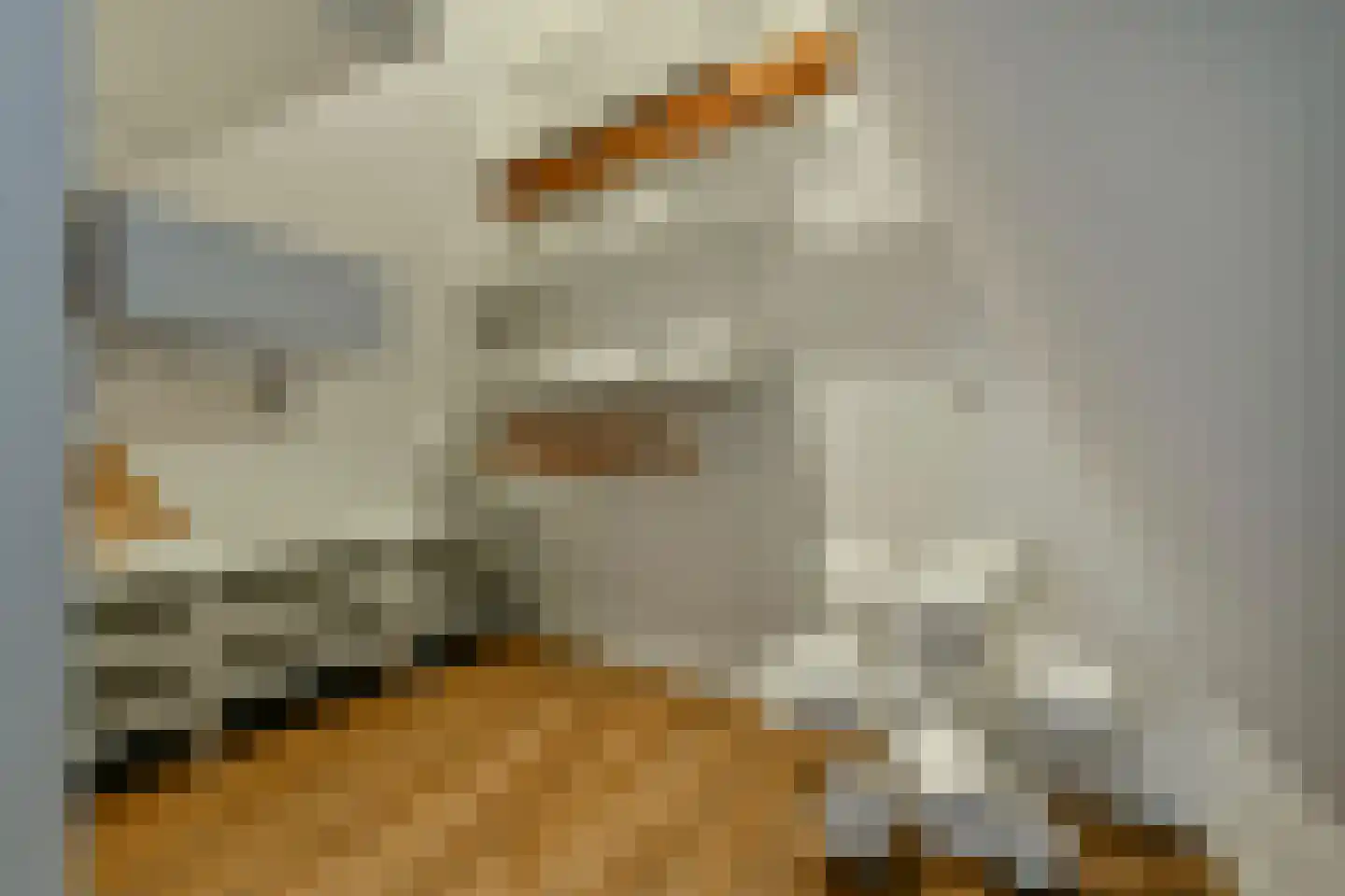Krom Boomssloot 40 Amsterdam thumbnail 15