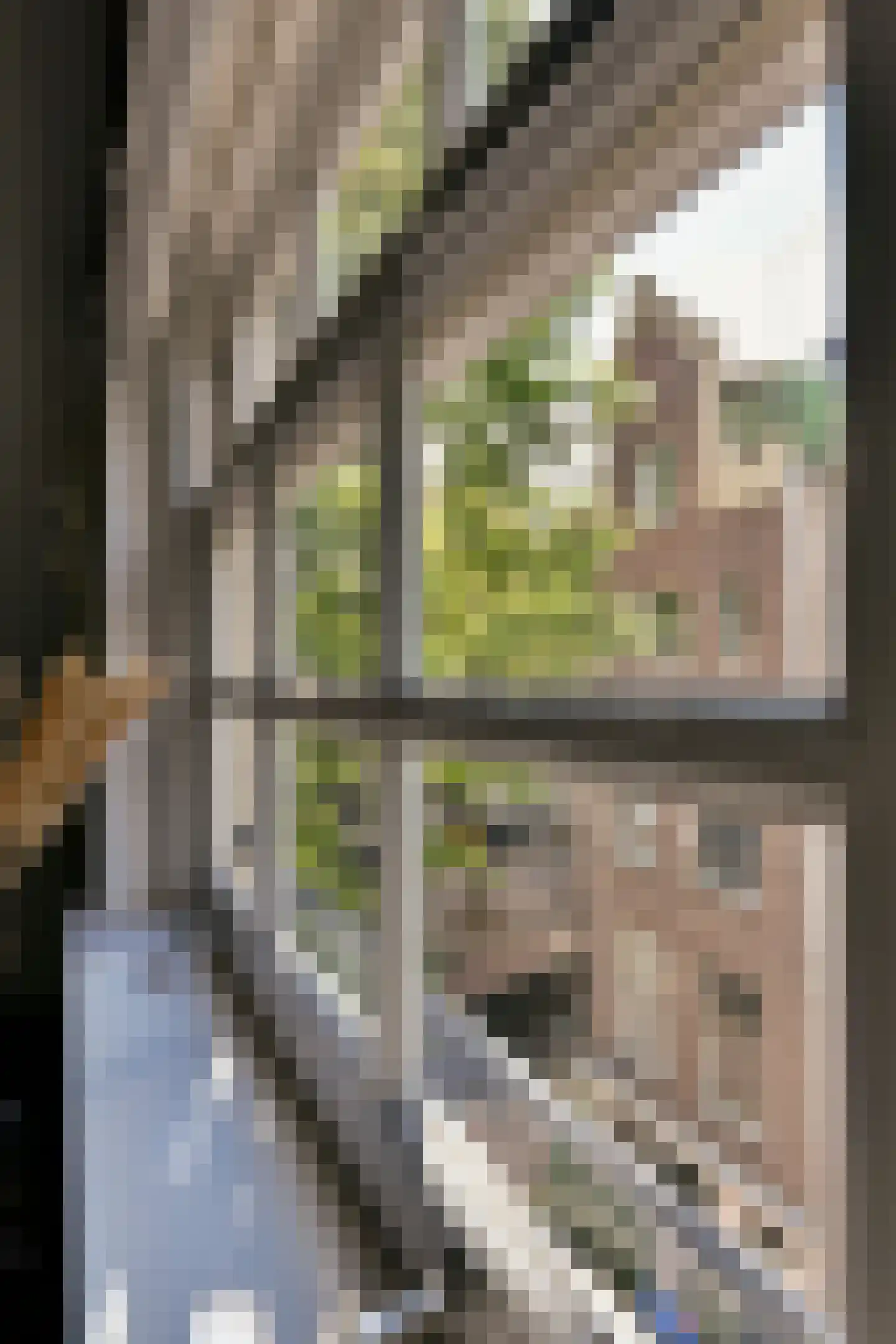 Krom Boomssloot 40 Amsterdam thumbnail 18