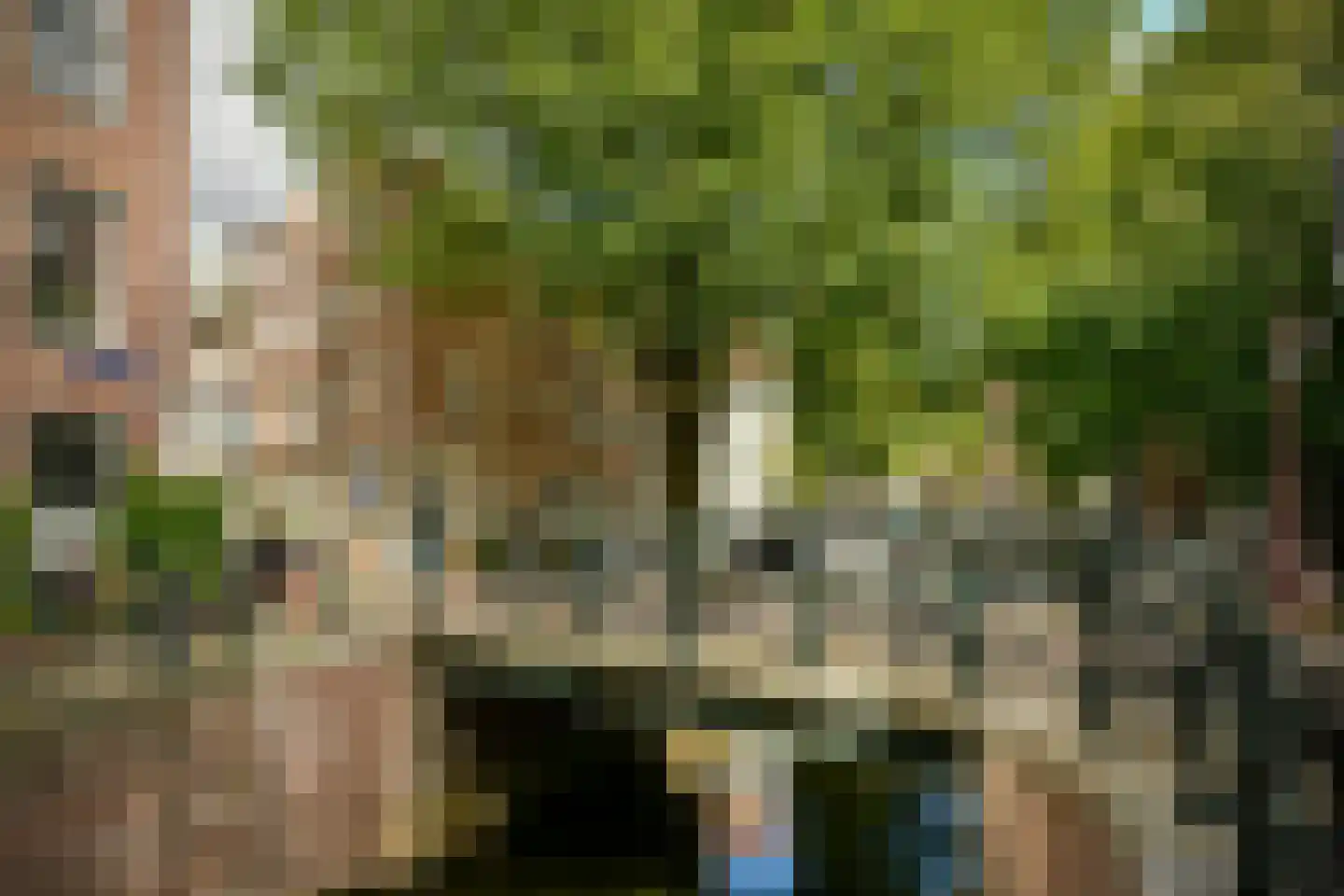Krom Boomssloot 40 Amsterdam thumbnail 20