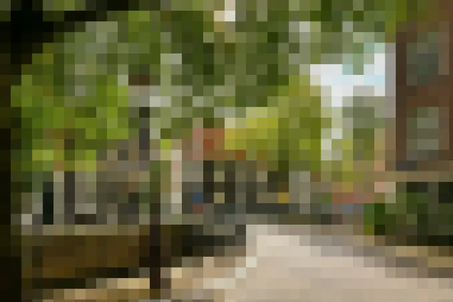 Krom Boomssloot 40 Amsterdam thumbnail 22