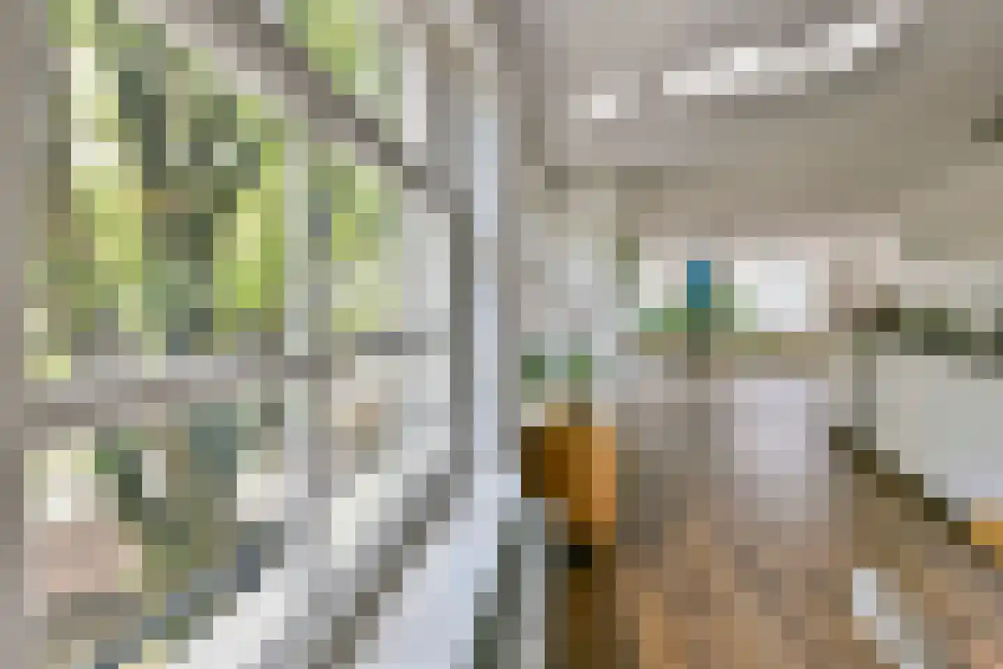 Krom Boomssloot 40 Amsterdam thumbnail 5