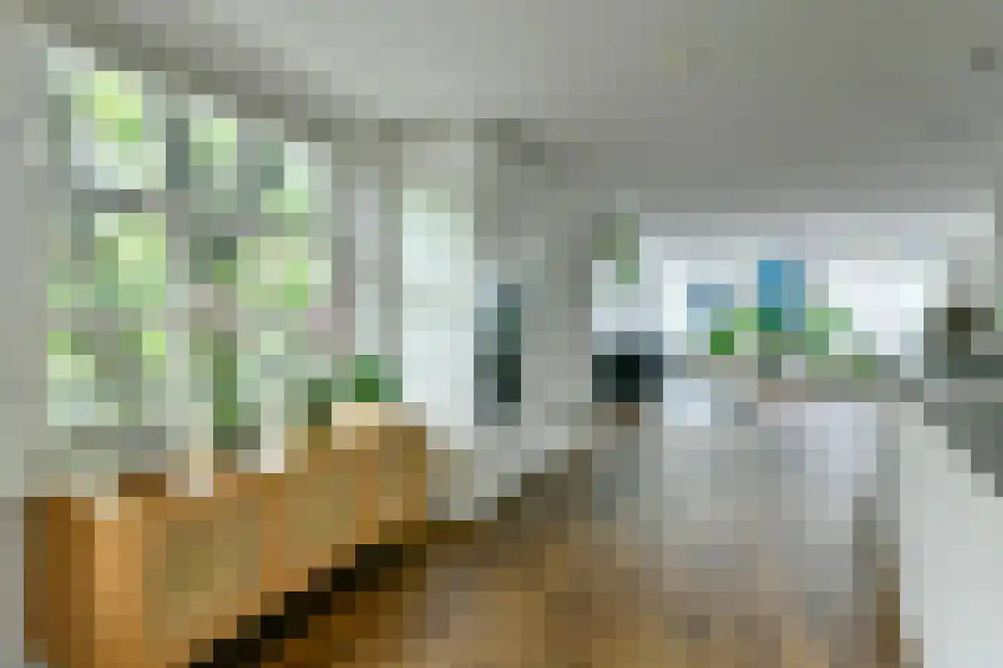 Krom Boomssloot 40 Amsterdam thumbnail 6