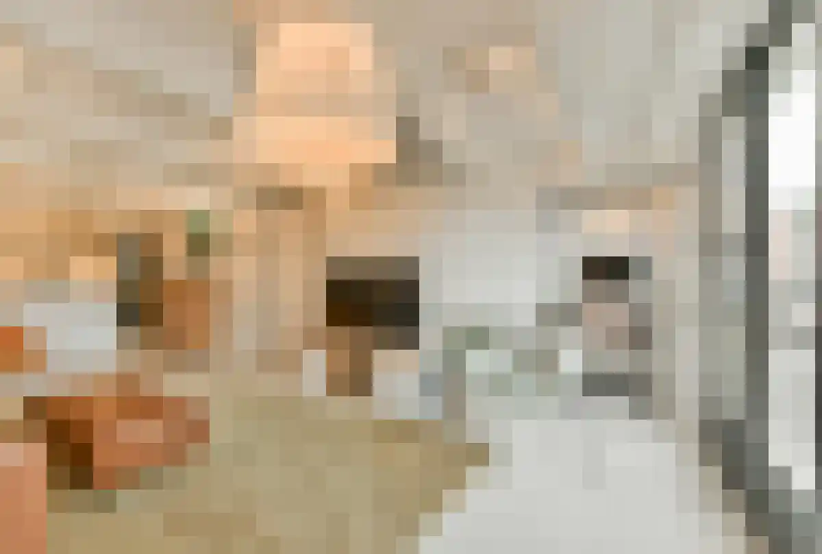Krom Boomssloot 63 D Amsterdam thumbnail 6
