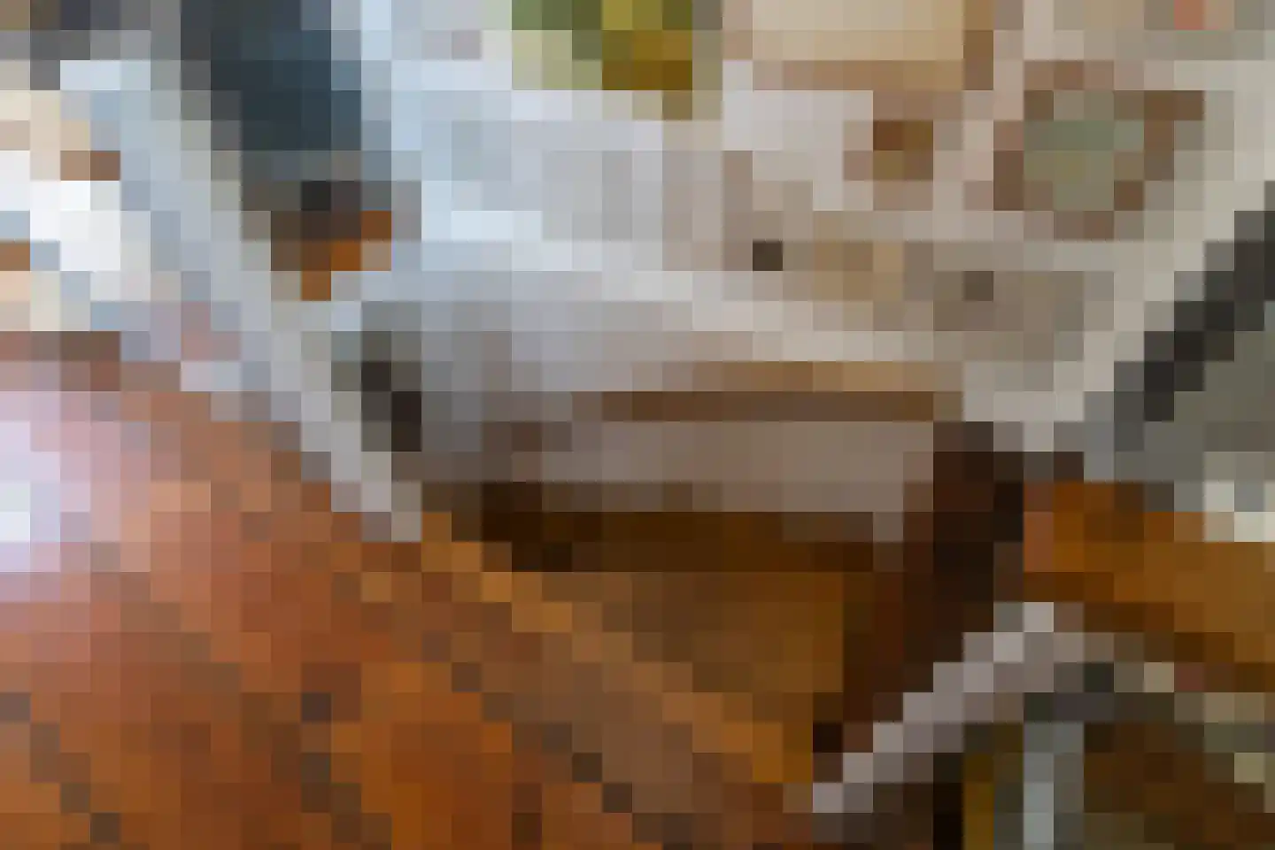 Krom Boomssloot 65 Amsterdam thumbnail 19