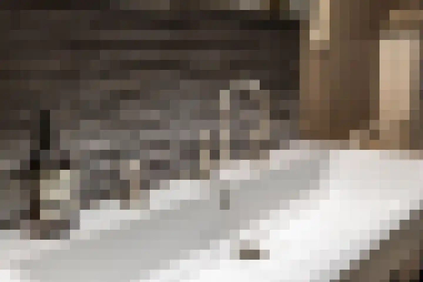 Krom Boomssloot 65 Amsterdam thumbnail 25